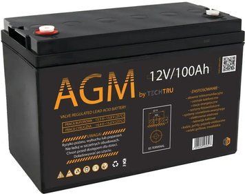 Аккумулятор Techtru AGM vrla 12v 100ah 1301 фото